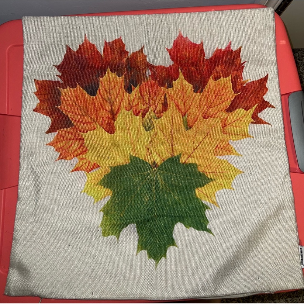 EUC Heart shaped fall leaves 🍃 🍁 pillow case cover